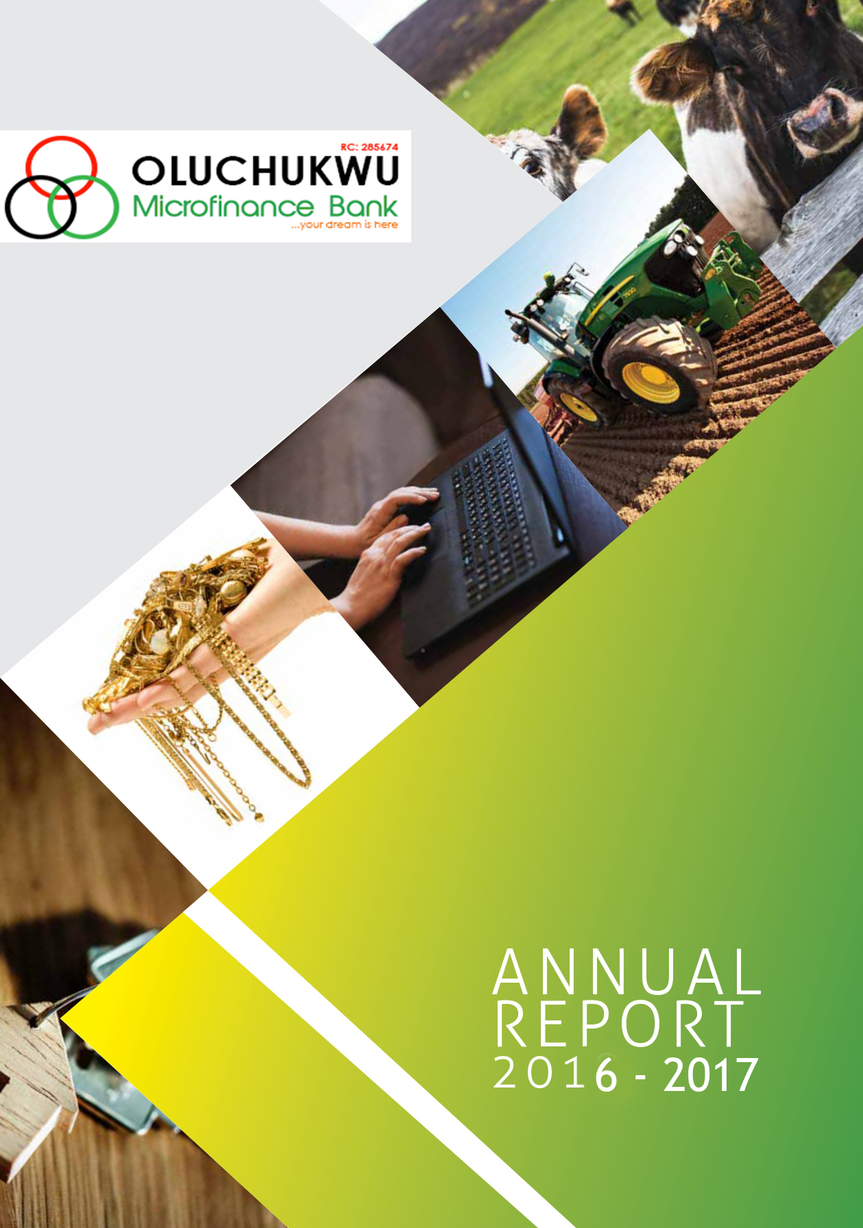 annual report 2016-2017